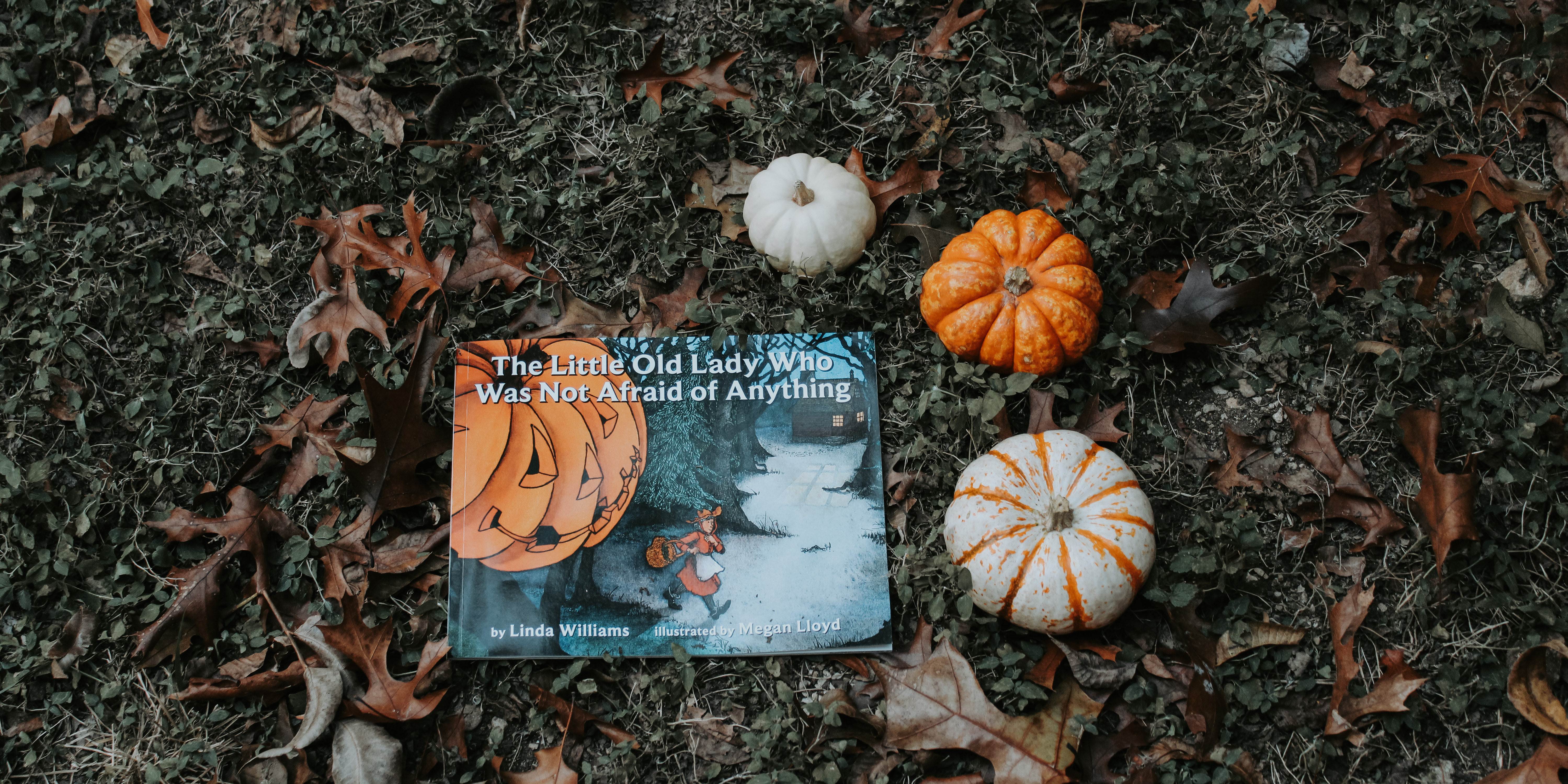 Story Time Selections: My 10 Favorite Halloween Picture Books