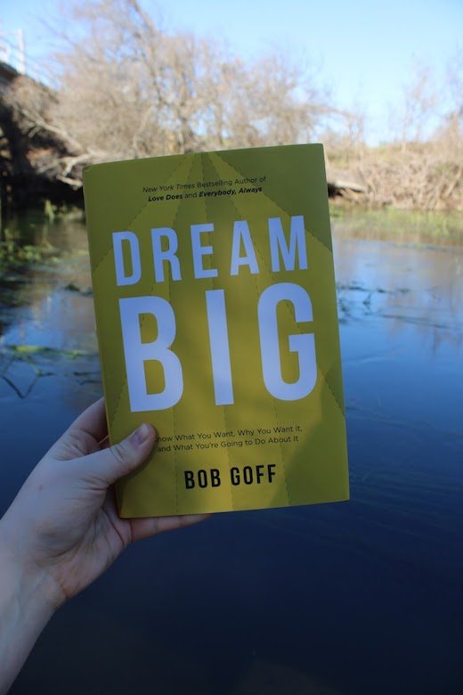 https://project-emily.com/uploads/img/blogs/5-books-that-will-help-you-create-the-life-you-dream-about/dream-big.jpeg